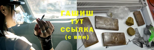 крисы Алзамай