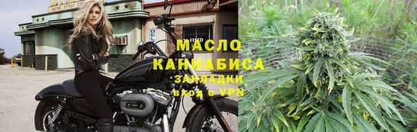 крисы Алзамай